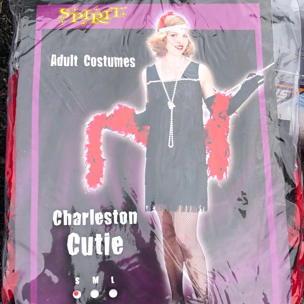 🎃Halloween!🎃 Charleston Cutie Flapper Costume